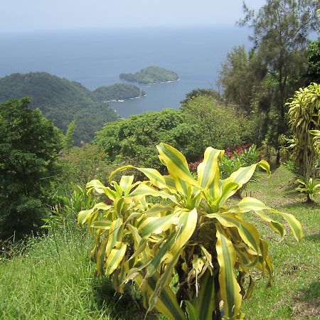 Mahogany Ridge Hotel Arouca Exterior photo