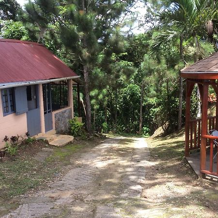Mahogany Ridge Hotel Arouca Exterior photo