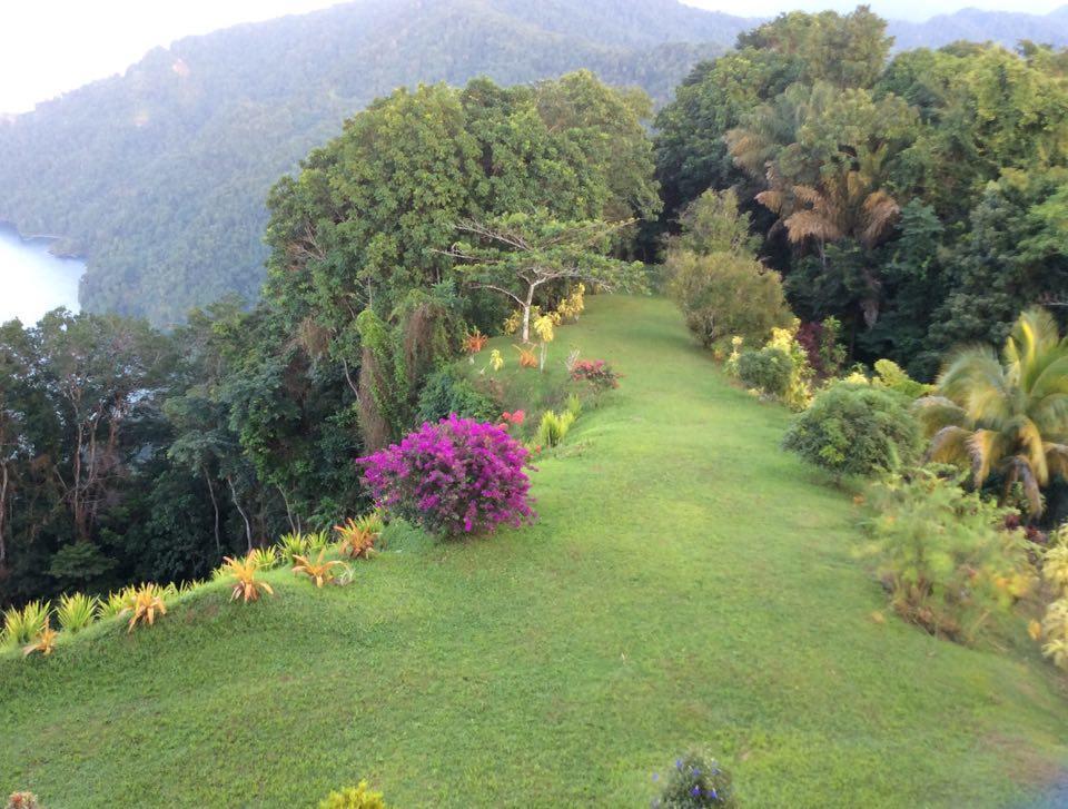 Mahogany Ridge Hotel Arouca Exterior photo