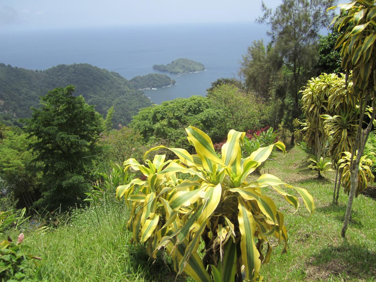Mahogany Ridge Hotel Arouca Exterior photo